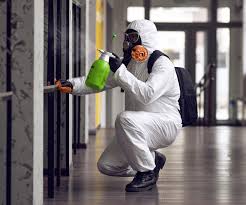 Best Environmental Consulting for Mold Prevention in USA